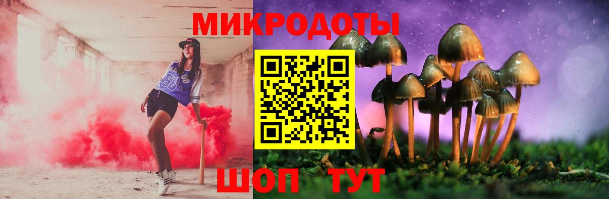 Галлюциногенные грибы прущие грибы  купить наркотик  Будённовск  Вход с VPN 